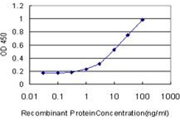 SSH2 antibody  (AA 20-117)
