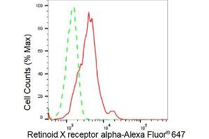 Flow cytometric analysis of Retinoid X receptor alpha expression in HeLa cells using Retinoid X receptor alpha antibody (ABIN7800191), 1:2,000). (Recombinant Retinoid X Receptor alpha antibody)