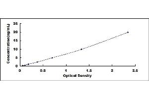 Typical standard curve (SERPINB2 ELISA Kit)