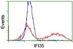 Image no. 2 for anti-Interferon-Induced Protein 35 (IFI35) antibody (ABIN1498799) (IFI35 antibody)