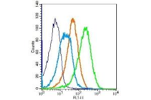 Flow Cytometry (FACS) image for anti-Adrenergic, beta-2-, Receptor, Surface (ADRB2) (AA 201-300) antibody (ABIN730153)
