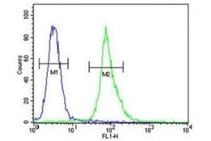 AKT1 antibody flow cytometric analysis of MDA-MB435 cells (right histogram) compared to a negative control (left histogram). (AKT1 antibody  (AA 282-309))