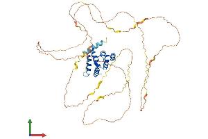 Protein Structure (PS) image for Mitochondrial Antiviral Signaling Protein (MAVS) (AA 1-503) protein (His tag) (ABIN7564730)