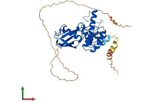 AlphaFold protein structure predicition of Human Recombinant ANKRD60 Protein, UniprotID Q9BZ19 (ANKRD60 Protein (AA 1-345) (His tag))