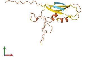 AlphaFold protein structure predicition of Human Recombinant GUSBP1 Protein, UniprotID Q15486 (GUSBP1 Protein (AA 1-140) (His tag))