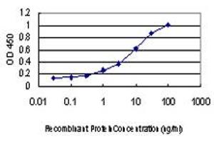Detection limit for recombinant GST tagged PCBP2 is approximately 0. (PCBP2 antibody  (AA 1-362))