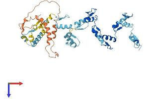 Protein Structure (PS) image for Zinc Finger Protein 141 (ZNF141) (AA 1-474) protein (His tag) (ABIN7545534)