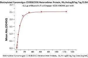 Immobilized Bispecific T cell Engager (CD3 X BCMA)  at 1 μg/mL (100 μL/well) can bind Biotinylated Cynomolgus CD3E&CD3G Heterodimer Protein, His,Avitag&Flag Tag (Cat.