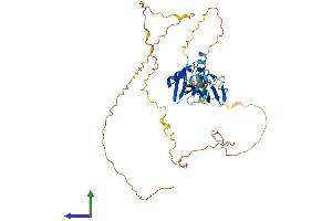 Protein Structure (PS) image for Nuclear Factor of Activated T-Cells, Cytoplasmic, Calcineurin-Dependent 2 Interacting Protein (NFATC2IP) (AA 1-419) protein (His tag) (ABIN7549756)