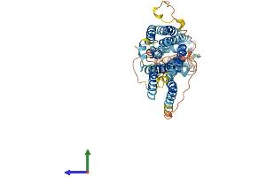 AlphaFold protein structure predicition of Mouse Recombinant Slc39a8 Protein, UniprotID Q91W10 (SLC39A8 Protein (AA 1-462) (His tag))