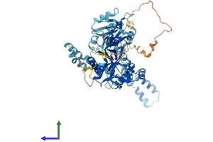 AlphaFold protein structure predicition of Human Recombinant MPP7 Protein, UniprotID Q5T2T1