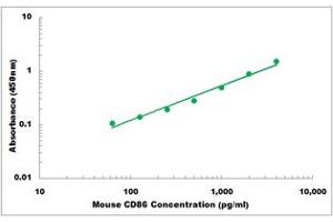 Representative Standard Curve (CD86 ELISA Kit)