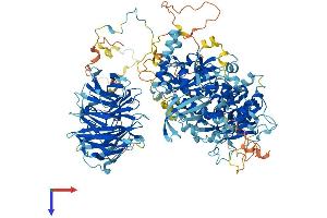 PAN2 Protein (AA 1-1202) (His tag)
