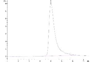 The purity of Human NKp30/NCR3/CD337 is greater than 95 % as determined by SEC-HPLC. (NCR3 Protein (AA 19-138) (Fc Tag))