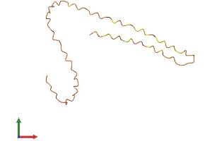 AlphaFold protein structure predicition of Human Recombinant KRTAP12-1 Protein, UniprotID P59990