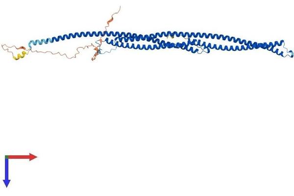 TEKT5 Protein (AA 1-485) (His tag)