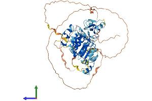 AlphaFold protein structure predicition of Mouse Recombinant Fbxl19 Protein, UniprotID Q6PB97 (FBXL19 Protein (AA 1-674) (His tag))