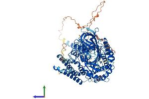 Protein Structure (PS) image for Transferrin Receptor 2 (TFR2) (AA 1-798) protein (His tag) (ABIN7561654)