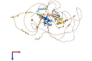 AlphaFold protein structure predicition of Human Recombinant NUTM2E Protein, UniprotID B1AL46 (FAM22E Protein (AA 1-878) (His tag))