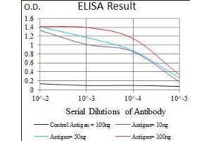 Black line: Control Antigen (100 ng), Purple line: Antigen(10 ng), Blue line: Antigen (50 ng), Red line: Antigen (100 ng), (TGFBR3 antibody  (AA 147-328))