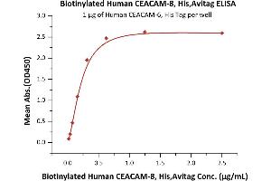 Immobilized Human CEACAM-6, His Tag (ABIN2180870,ABIN2180869) at 10 μg/mL (100 μL/well) can bind Biotinylated Human CEACAM-8, His,Avitag (ABIN5954969,ABIN6253589) with a linear range of 0. (CEACAM8 Protein (AA 35-319) (His tag,AVI tag,Biotin))