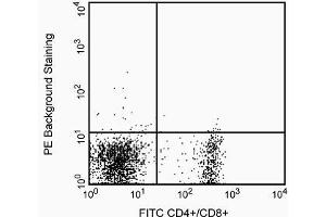 See first image description (IFNGR1 antibody)