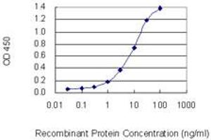 Detection limit for recombinant GST tagged EDEM2 is 0. (EDEM2 antibody  (AA 479-578))