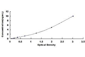 Typical standard curve (Moesin ELISA Kit)