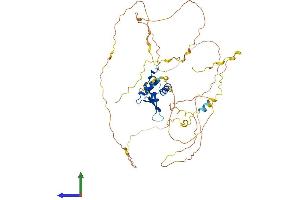 AlphaFold protein structure predicition of Human Recombinant FOXO6 Protein, UniprotID A8MYZ6