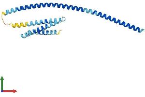 Protein Structure (PS) image for Vesicle Transport through Interaction with t-SNAREs 1A (VTI1A) (AA 1-217) protein (His tag) (ABIN7545123)