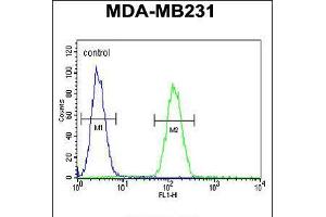 Flow cytometric analysis of MDA-MB231 cells (right histogram) compared to a negative control cell (left histogram). (Syntaxin 7 antibody  (N-Term))