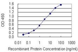 Detection limit for recombinant GST tagged SGTA is 0. (SGTA antibody  (AA 42-123))