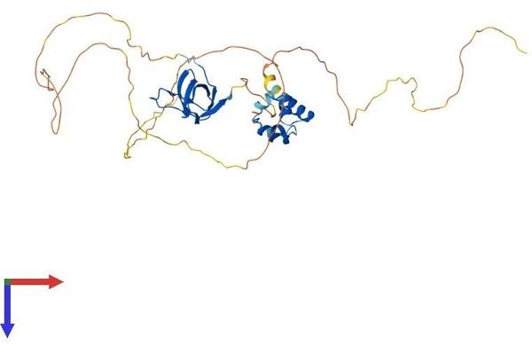 SAMSN1 Protein (AA 1-372) (His tag)