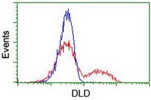 HEK293T cells transfected with either RC200639 overexpress plasmid (Red) or empty vector control plasmid (Blue) were immunostained by anti-DLD antibody (ABIN2454924), and then analyzed by flow cytometry. (DLD antibody)