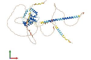 AlphaFold protein structure predicition of Human Recombinant OTUD5 Protein, UniprotID Q96G74 (OTUD5 Protein (AA 1-571) (His tag))