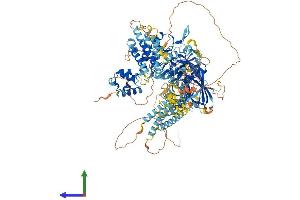 AlphaFold protein structure predicition of Human Recombinant DGKH Protein, UniprotID Q86XP1