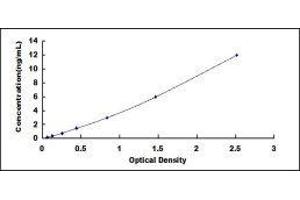 Typical standard curve (MASP2 ELISA Kit)