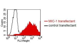 FACS analysis of BOSC23 cells using ME-6D10. (GDF15 antibody  (N-Term))