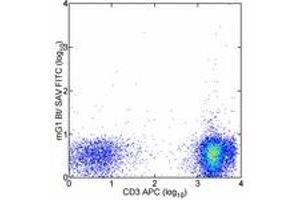 Image no. 2 for anti-Allophycocyanin (APC) antibody (Biotin) (ABIN474407) (Allophycocyanin antibody  (Biotin))