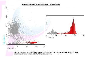 Image no. 1 for anti-CD2 (CD2) antibody (APC) (ABIN1112110) (CD2 antibody  (APC))