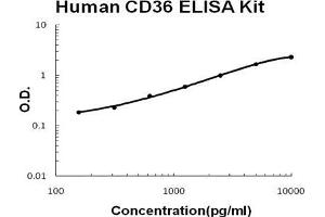 Human CD36/SR-B3 PicoKine ELISA Kit standard curve