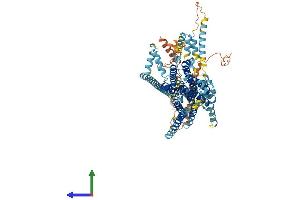 Protein Structure (PS) image for Transmembrane Channel-Like 6 (TMC6) (AA 1-805) protein (His tag) (ABIN7555797)