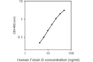 Fetuin B (FETUB) ELISA Kit
