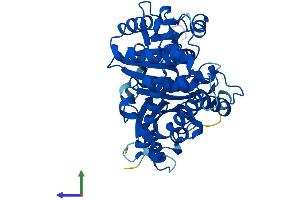 AlphaFold protein structure predicition of Mouse Recombinant Tubal3 Protein, UniprotID Q3UX10 (TUBAL3 Protein (AA 1-446) (His tag))