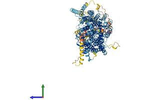 AlphaFold protein structure predicition of Human Recombinant PIGO Protein, UniprotID Q8TEQ8 (PIGO Protein (AA 1-1089) (His tag))