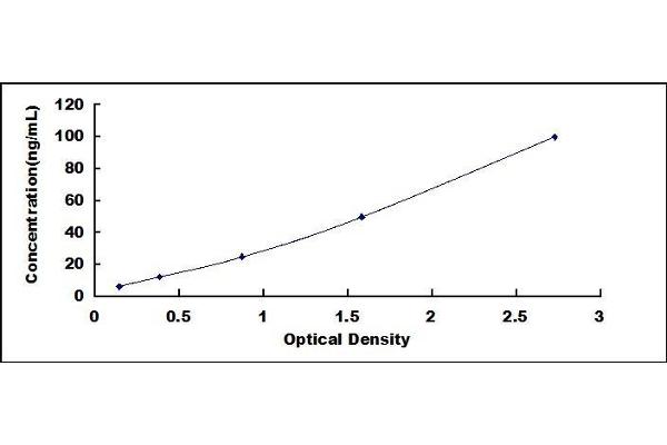PCK1 ELISA Kit
