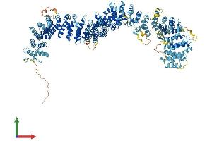 AlphaFold protein structure predicition of Human Recombinant MEI1 Protein, UniprotID Q5TIA1 (MEI1 Protein (AA 1-1274) (His tag))