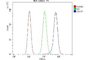 Flow Cytometry analysis of THP-1 cells using anti-CXCR2 antibody (ABIN7601315).