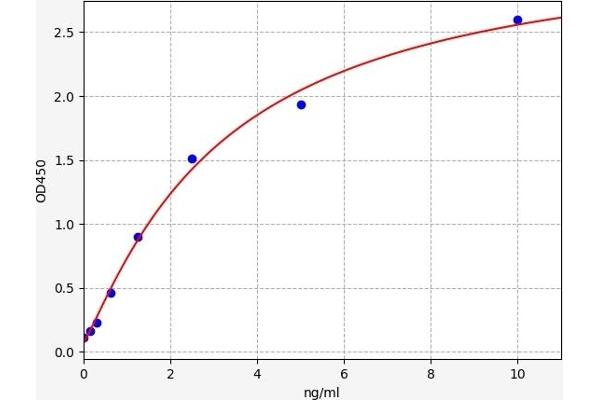 PPOX ELISA Kit