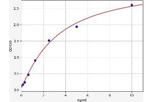 Typical standard curve (PPOX ELISA Kit)